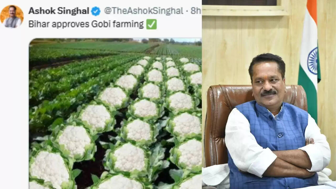 असम मंत्री अशोक सिंघल की गोभी पोस्ट पर विवाद, 1989 के भागलपुर दंगों की याद दिलाई