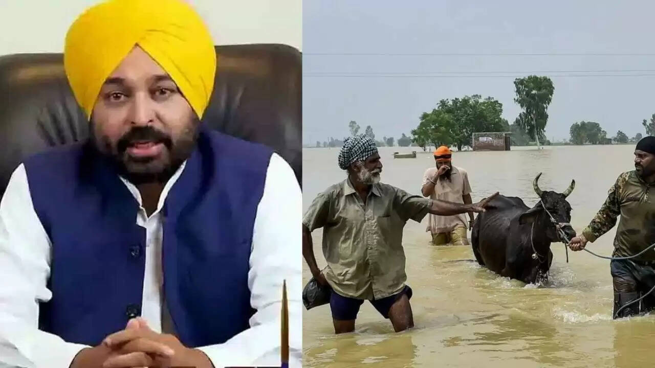 पंजाब में बाढ़ राहत अभियान: मुख्यमंत्री भगवंत मान की सक्रियता