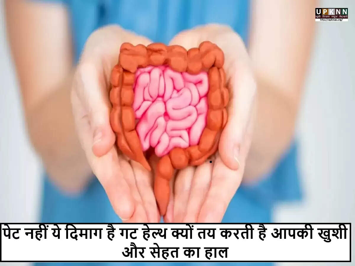 आंतों के स्वास्थ्य का महत्व: जानें कैसे करें सुधार