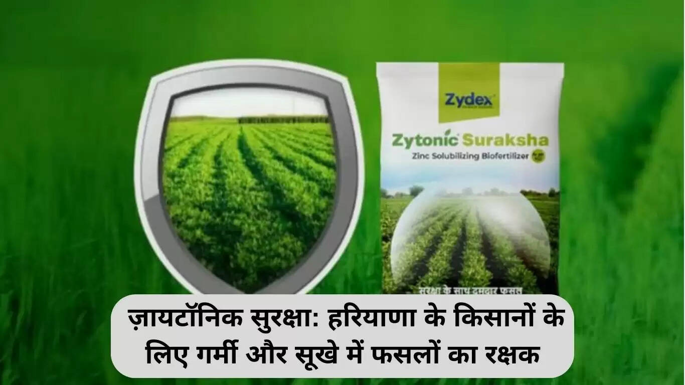ज़ायटॉनिक सुरक्षा: हरियाणा के किसानों के लिए गर्मी और सूखे का समाधान