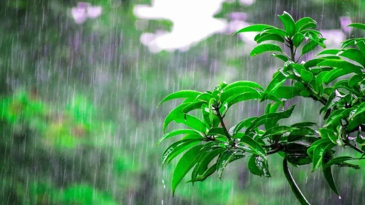 हरियाणा में मौसम में बदलाव: आंधी और बारिश से मिलेगी गर्मी से राहत