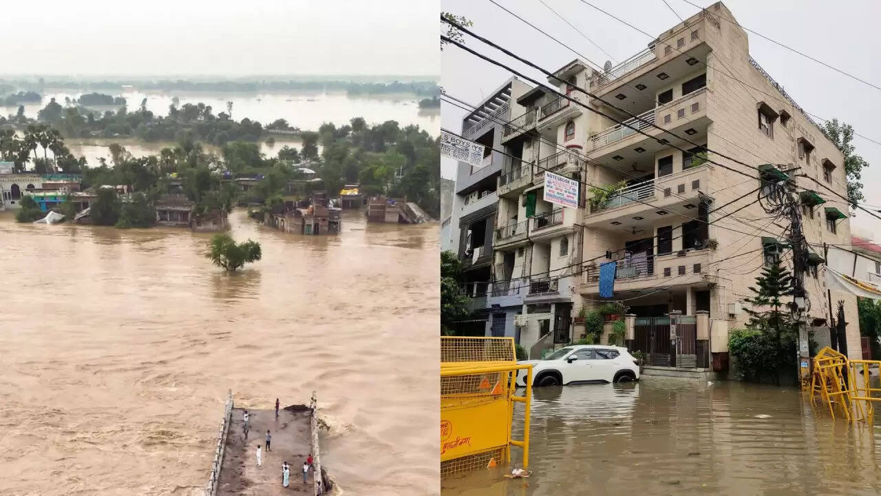 भारत में मानसून का कहर: भारी बारिश से बाढ़ की स्थिति, जानें आपके क्षेत्र का हाल
