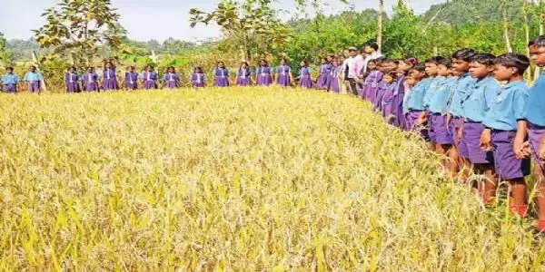 कोंडागांव: पढ़ाई के साथ खेती-बाड़ी सिखाने वाला कोंडागांव के पीकड़भाटा गांव का अनोखा स्कूल