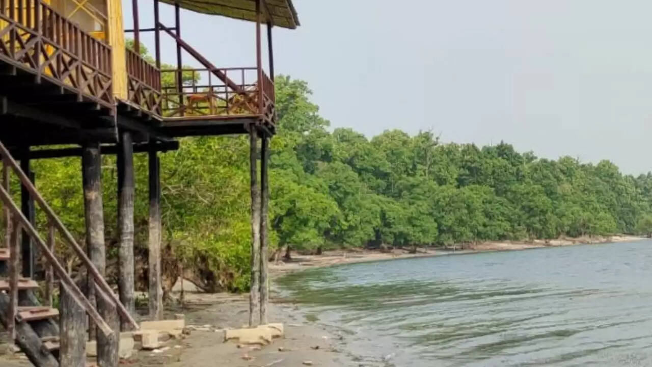 उत्तर प्रदेश का छिपा हुआ खजाना: चूका बीच, जहां मिलेगी समुद्र जैसी शांति