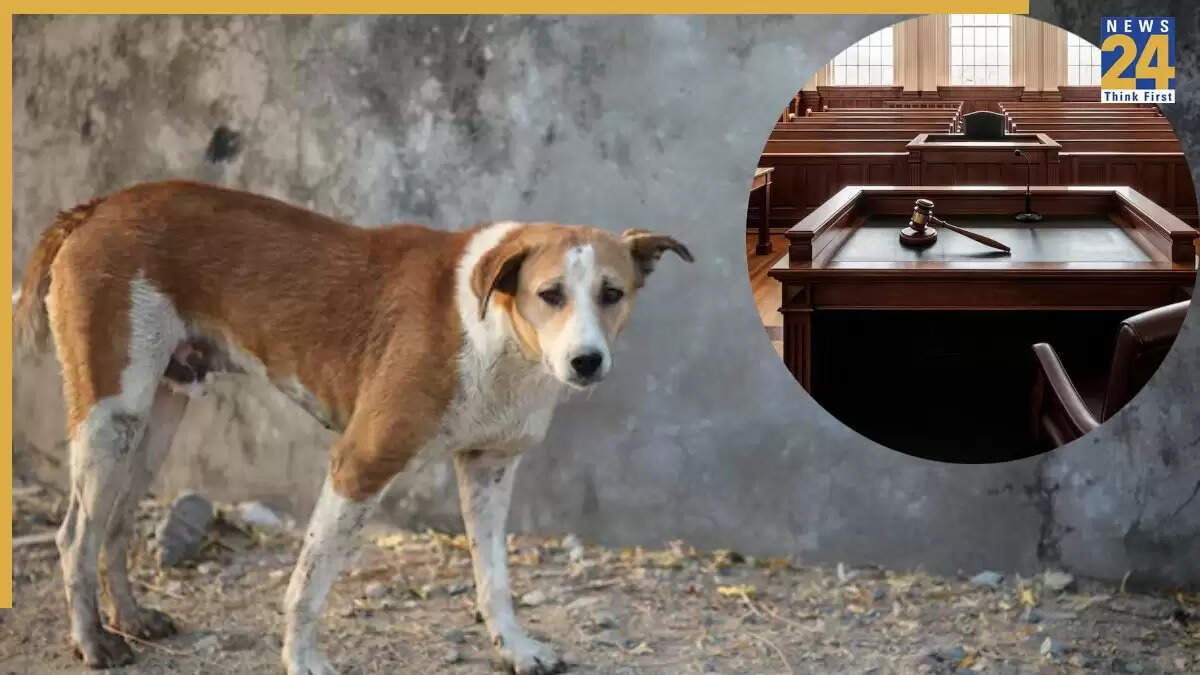 सुप्रीम कोर्ट का ऐतिहासिक फैसला: दिल्ली-एनसीआर में आवारा कुत्तों का मामला