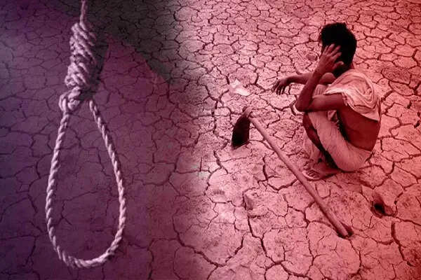 कर्नाटक में किसानों की आत्महत्या का संकट: 981 मामलों की रिपोर्ट