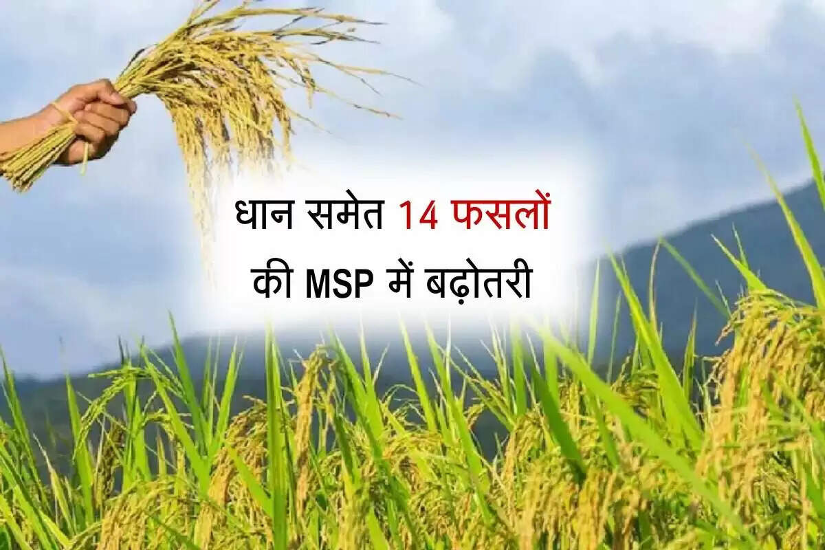किसानों के लिए MSP में वृद्धि: सरकार का बड़ा कदम
