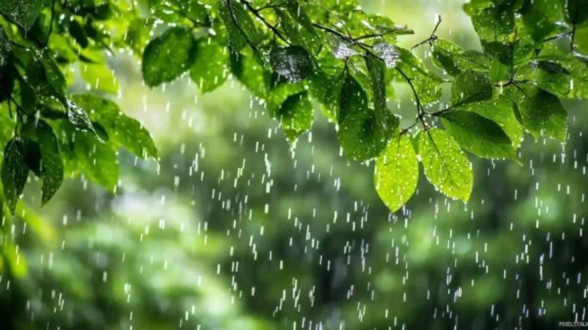 हरियाणा में मौसम और प्रदूषण की स्थिति: ठंड का आगाज़