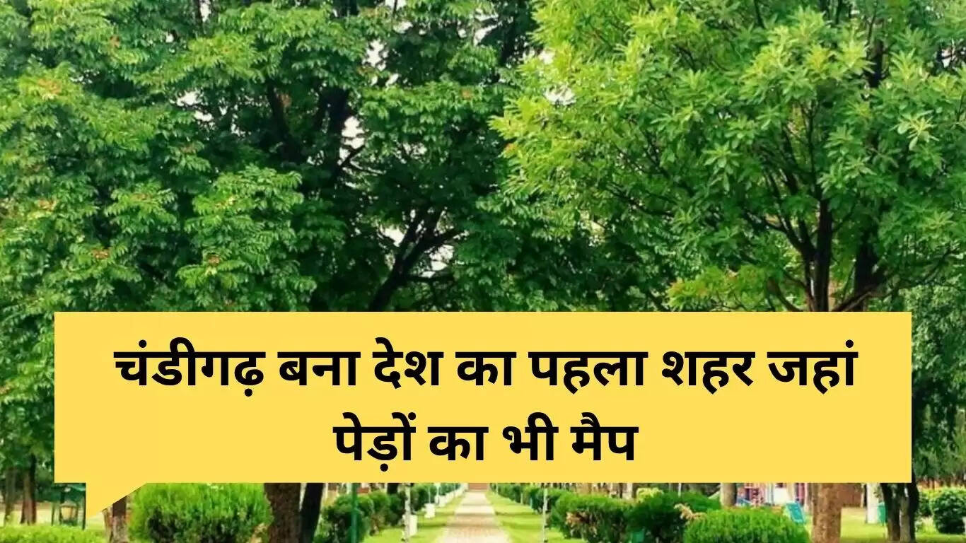 चंडीगढ़ में पेड़ों का अनोखा नक्शा: वन महोत्सव के तहत 1 लाख पौधों का रोपण