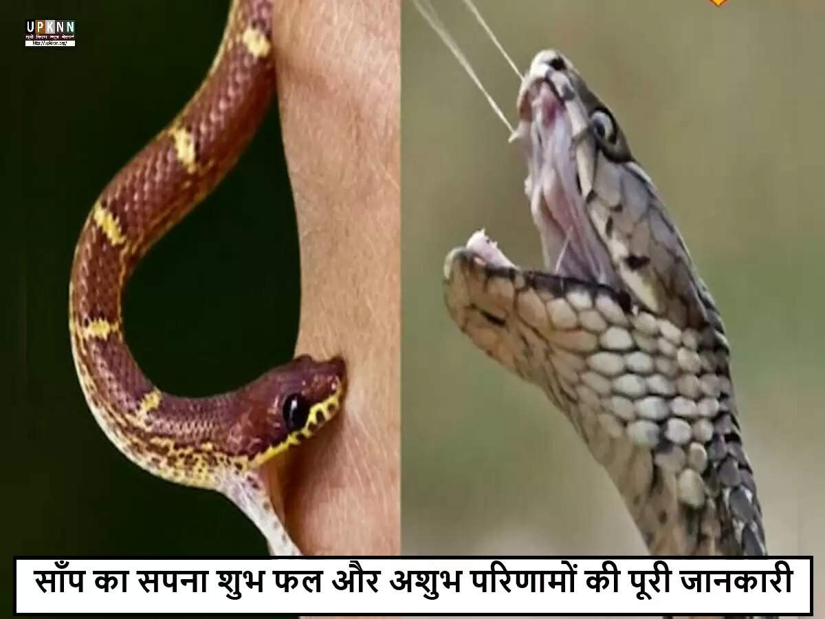 सपनों में साँप देखना: ज्योतिष के अनुसार अर्थ और संकेत