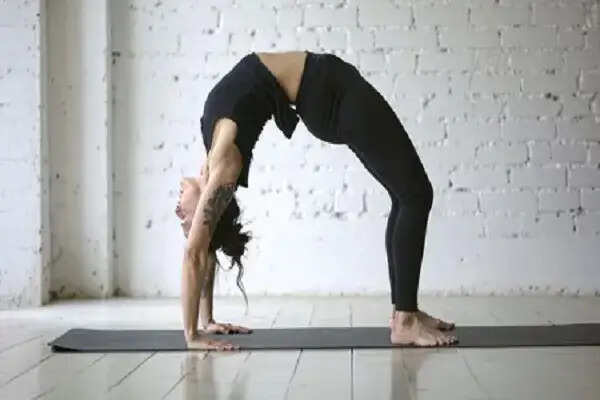 चक्रासन: रीढ़ की हड्डी के लिए लाभकारी योगासन