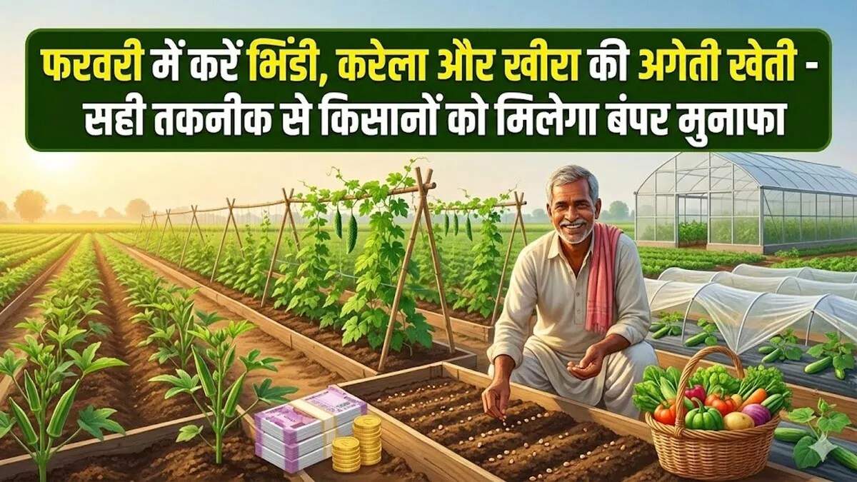 फरवरी में सब्जियों की खेती: किसानों के लिए सुनहरा अवसर