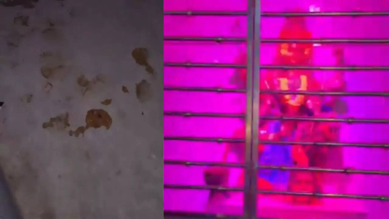 कट्टा मैसम्मा मंदिर में विवाद: युवक ने धार्मिक स्थल पर किया अपमानजनक कृत्य