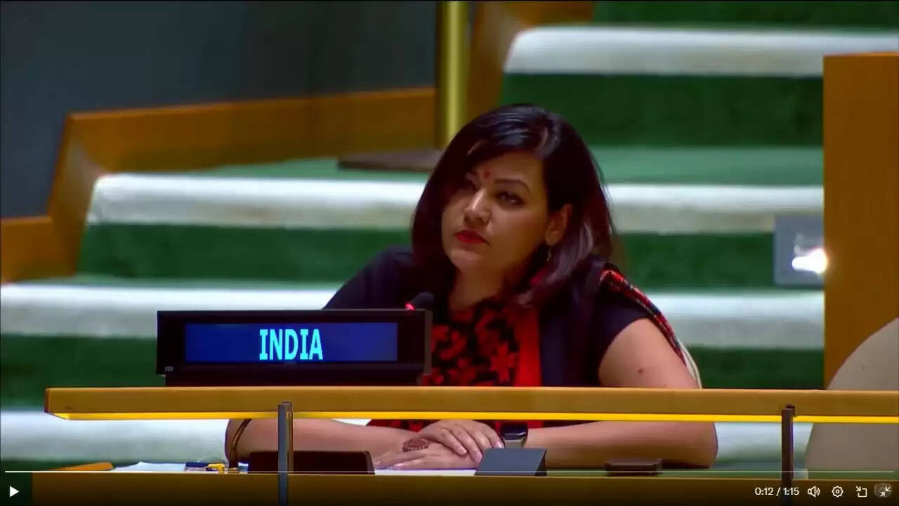 भारत ने पाकिस्तान के पीएम शहबाज शरीफ की टिप्पणियों पर कड़ी प्रतिक्रिया दी