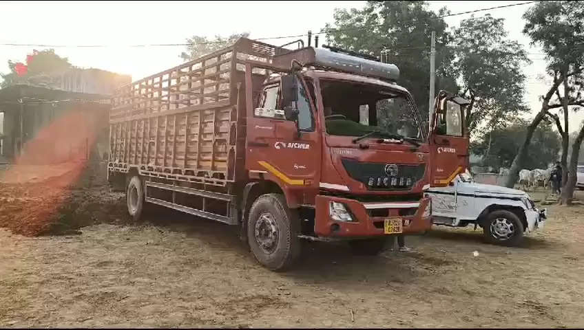 Action of police and cow protectors on the expressway in Alwar, cattle smugglers ran away leaving 24 cows in the center.