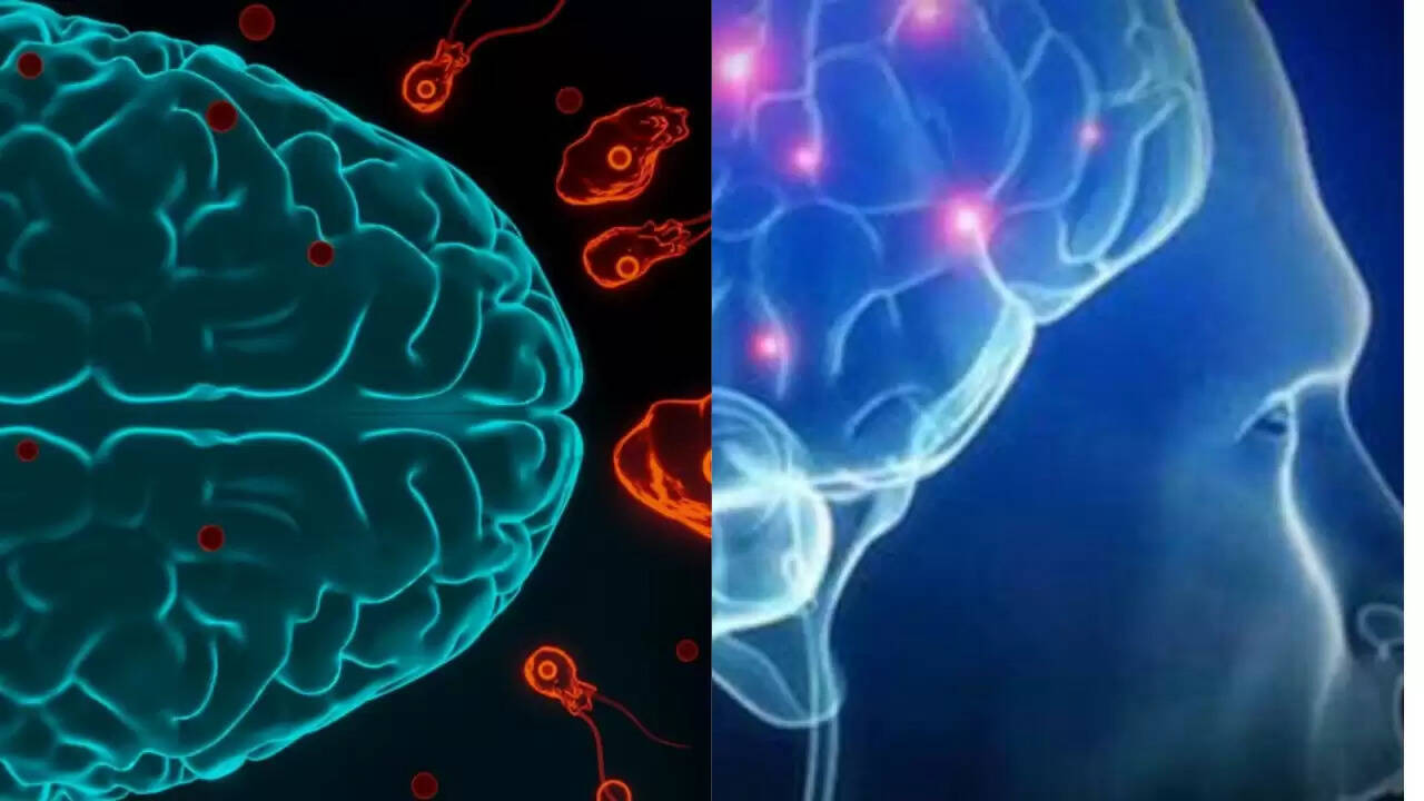 केरल में Brain Eating Amoeba से बच्ची की मौत: जानें इसके खतरे और बचाव के उपाय
