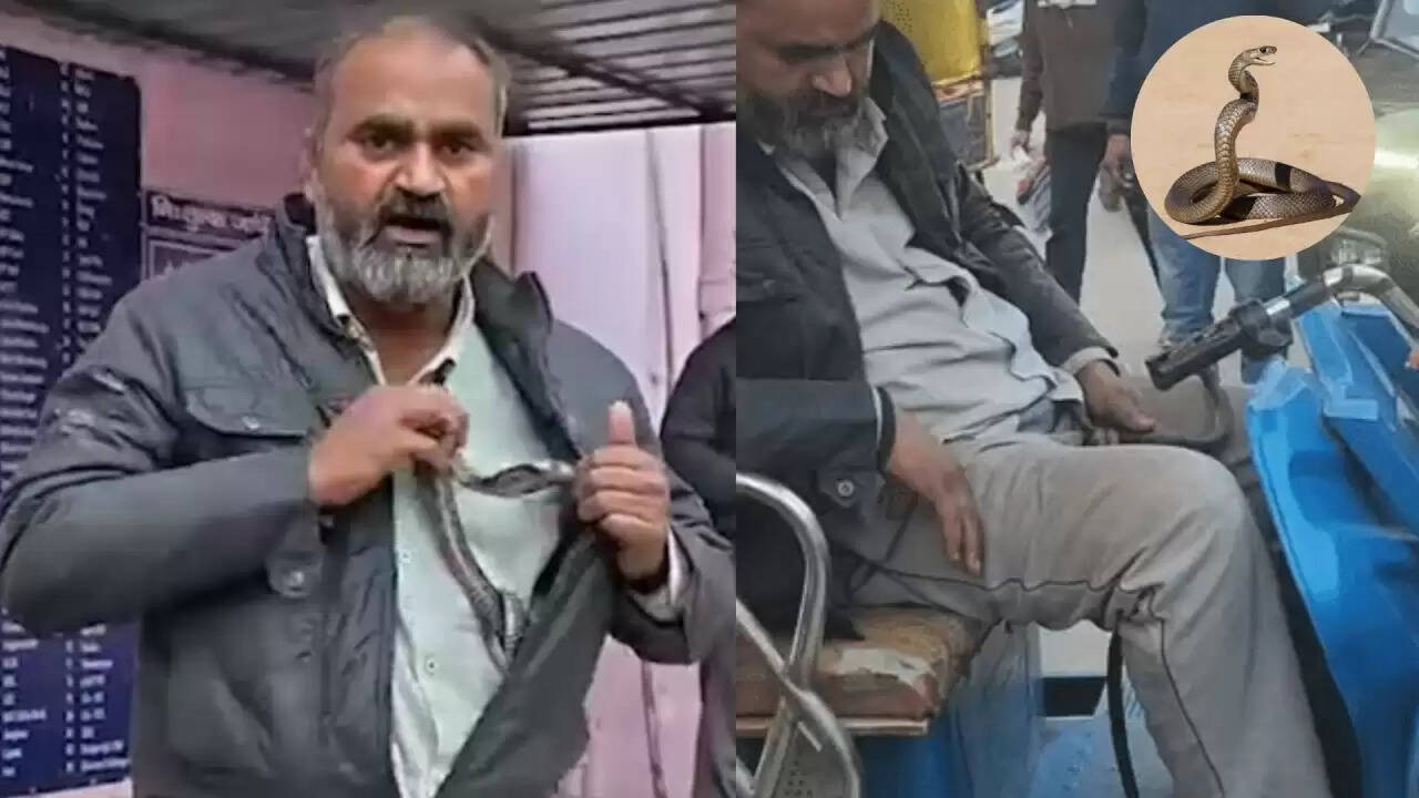 मथुरा में ई-रिक्शा चालक ने सांप के काटने के बाद दिखाई अद्भुत हिम्मत