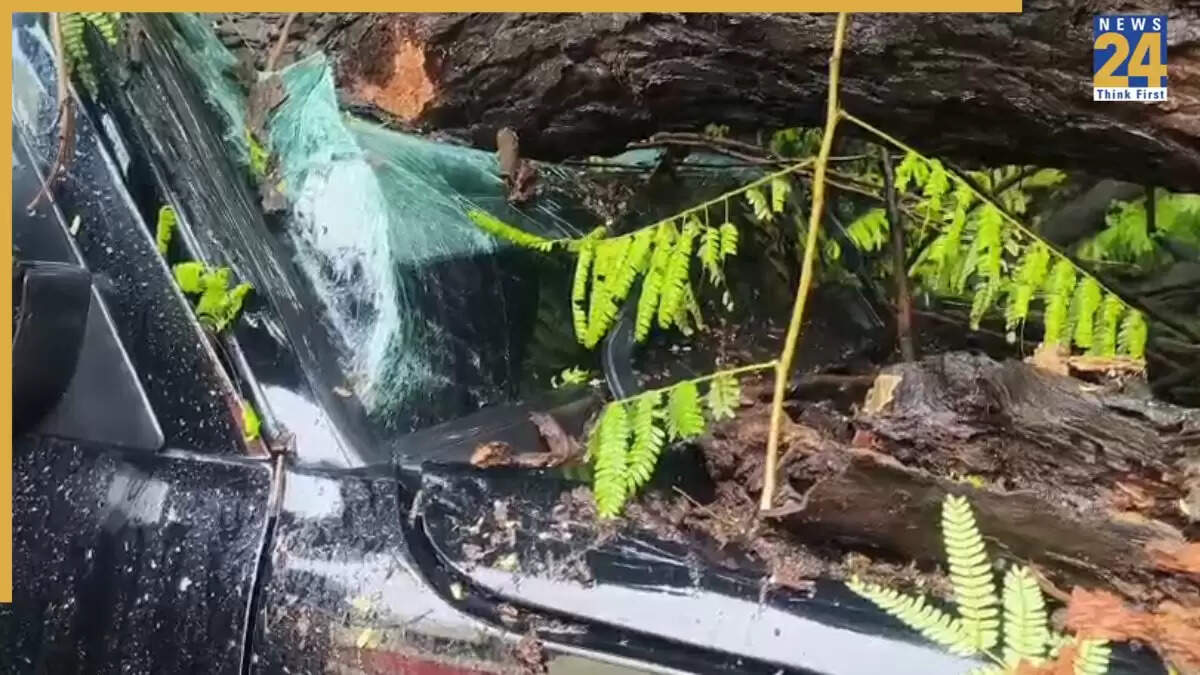 पंचकूला में बारिश के दौरान स्कूली बच्चों की कार पर गिरा पेड़, 6 घायल