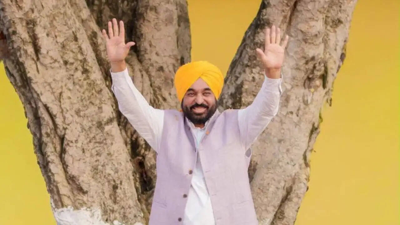 पंजाब का 'युद्ध नशेआं विरुद्ध' अभियान: नशा पीड़ितों के लिए नई उम्मीद और रोजगार के अवसर