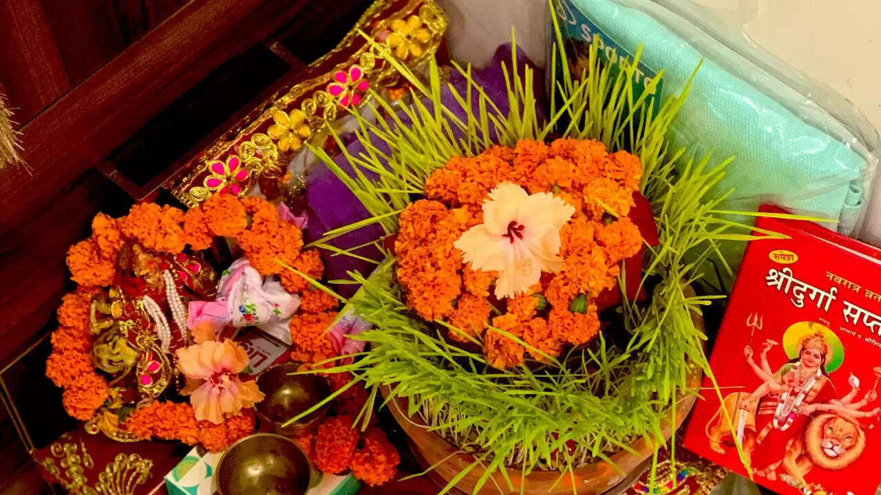 नवरात्रि के बाद जवारों का सही उपयोग: जानें कैसे करें इनका सदुपयोग