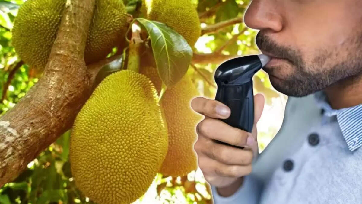 कटहल के कारण ड्राइवर का ब्रेथलाइज़र टेस्ट पॉजिटिव, पुलिस हुई हैरान