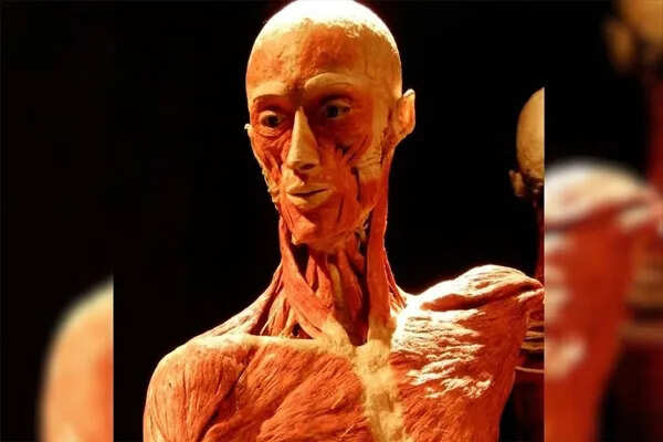 लास वेगास में म्यूजियम में शव पहचानने का चौंकाने वाला मामला