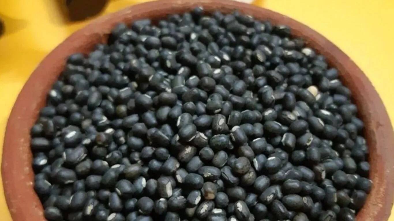 पितृपक्ष में खान-पान के नियम: किन दालों से करें परहेज