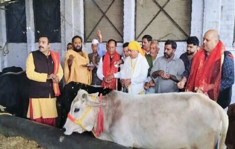 रणवीर गौशाला में श्रद्धापूर्वक मनाई गई गोपाल अष्टमी