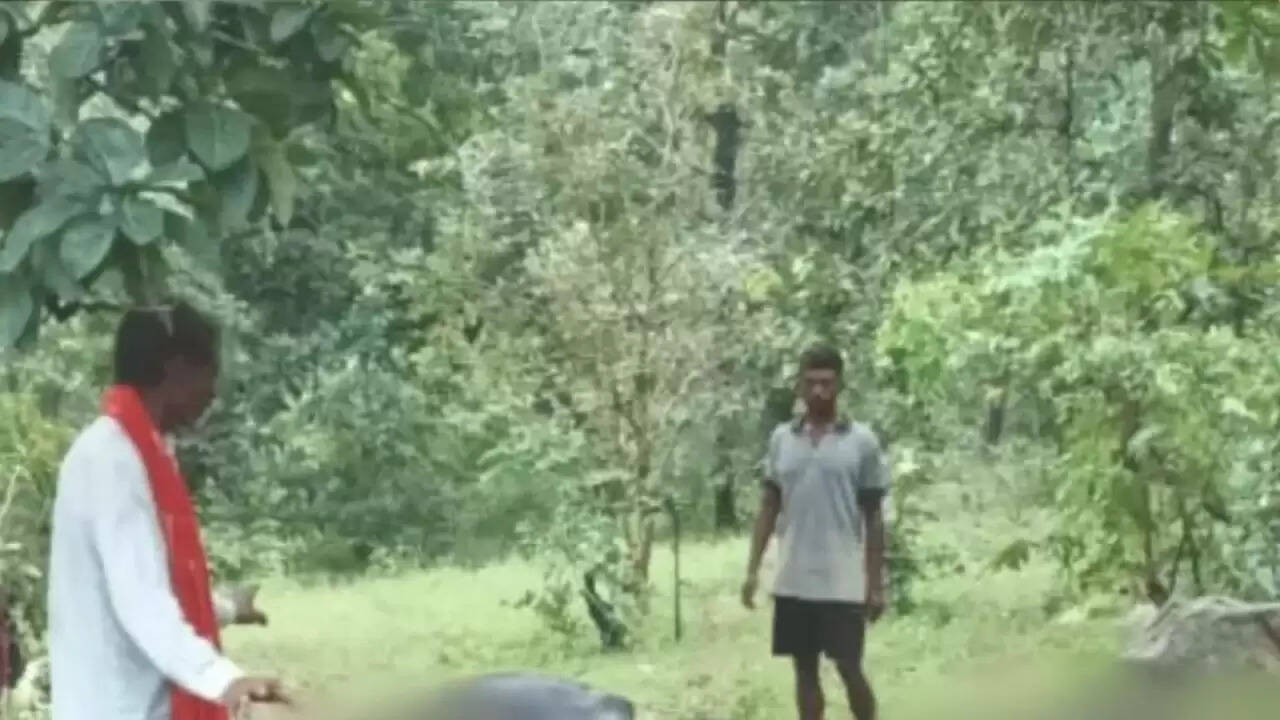 नौहट्टा में वज्रपात से 30 भैंसों की मौत: पशुपालकों को हुआ भारी नुकसान