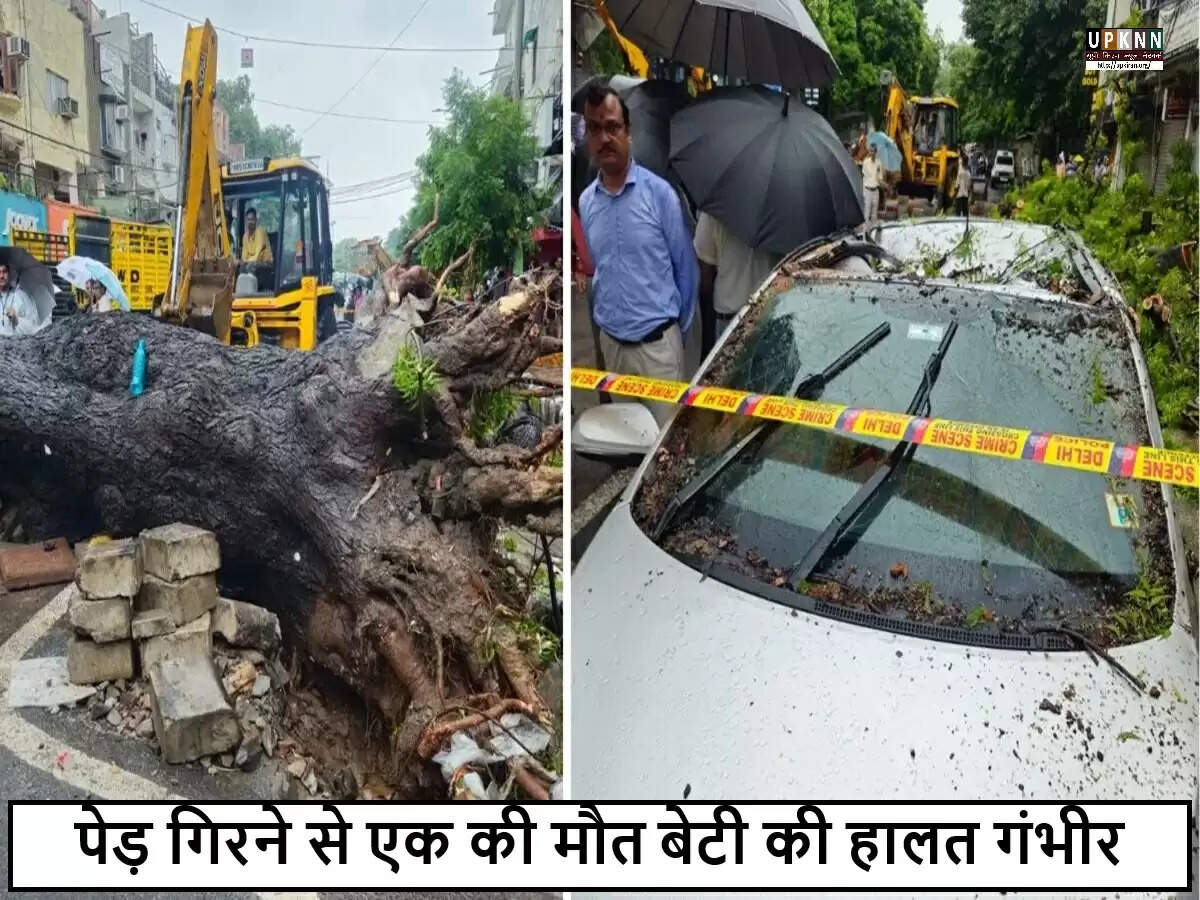 दिल्ली में बारिश के दौरान गिरा पेड़, पिता की मौत और बेटी घायल