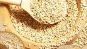 पनीर के स्वास्थ्य लाभ: जानें इसके फायदे और पोषण तत्व