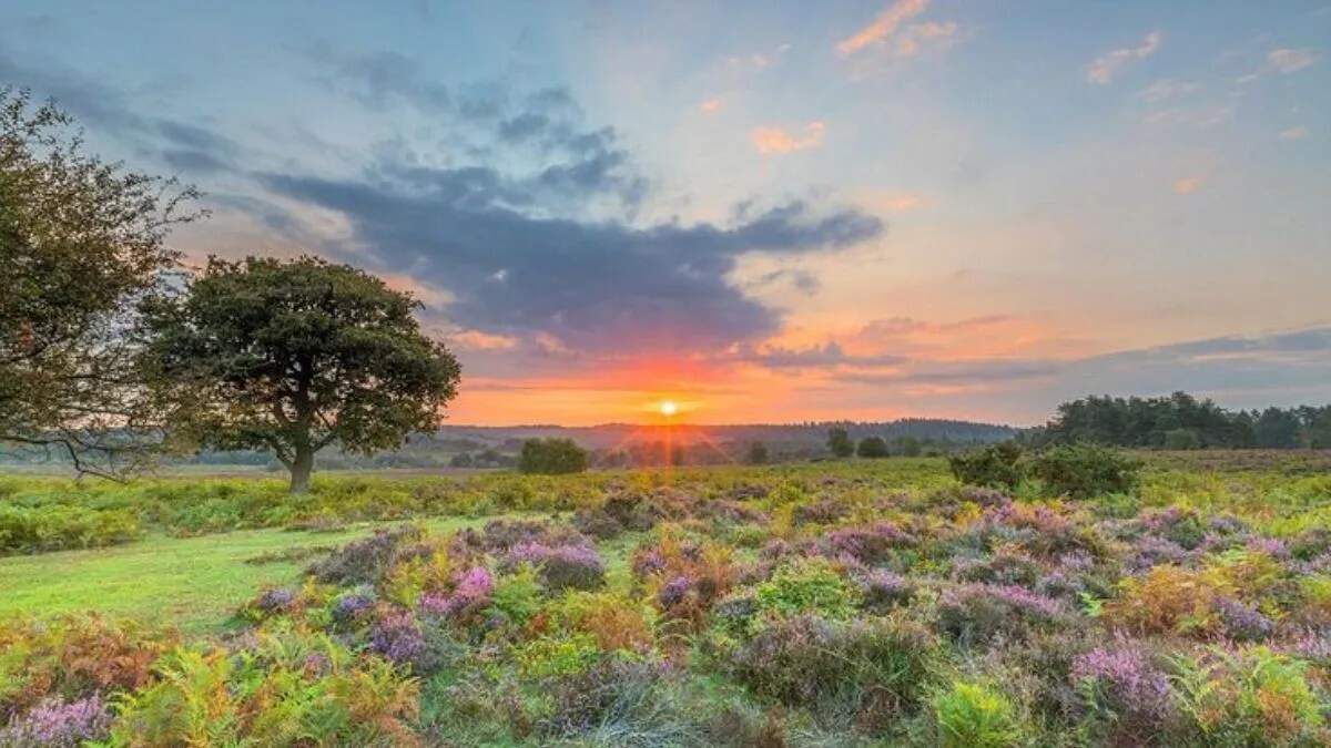 कल के मौसम की भविष्यवाणी: 4 नवंबर 2025