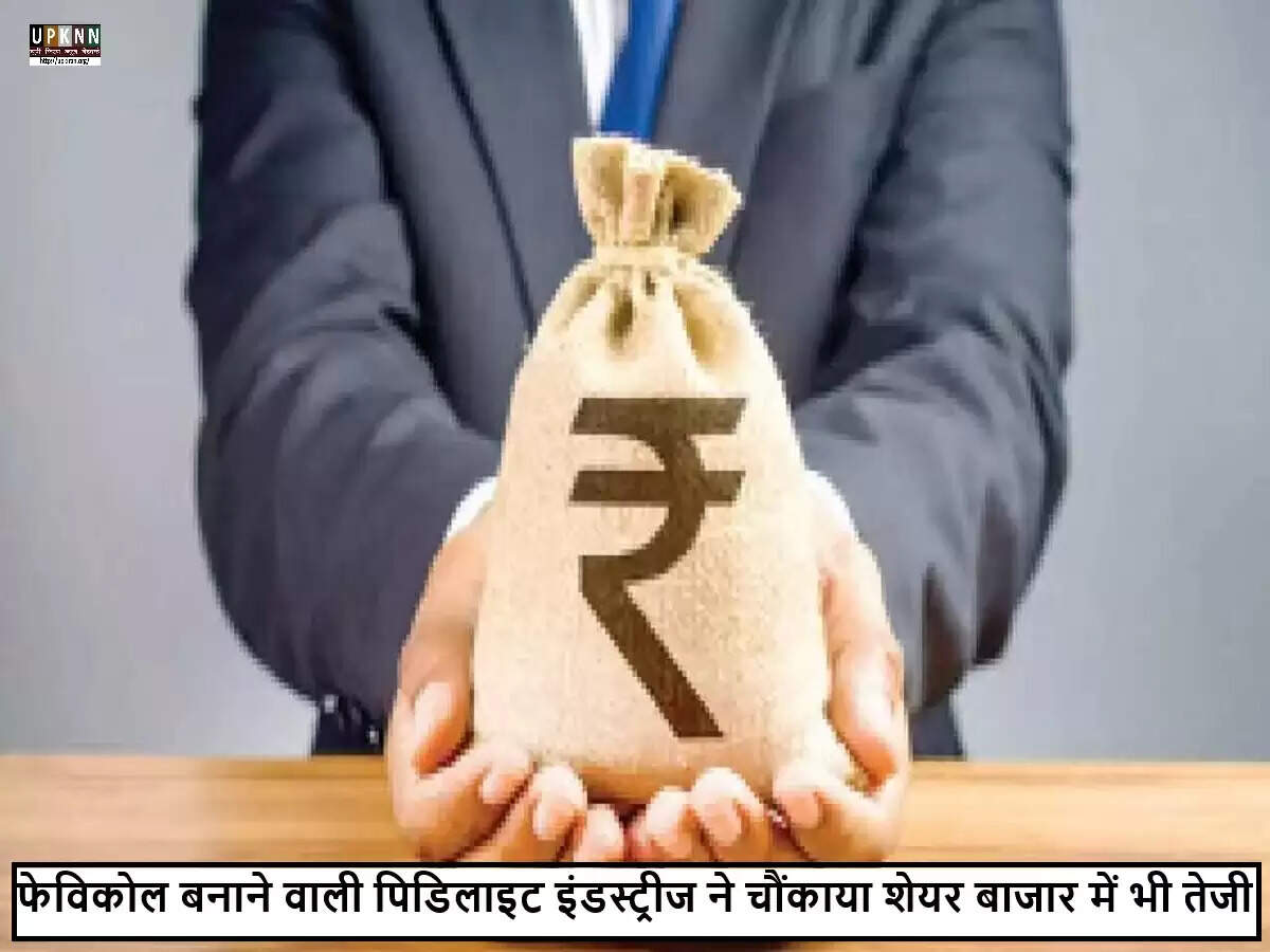 पिडिलाइट इंडस्ट्रीज ने वित्तीय वर्ष 2025-26 की तिमाही में मुनाफे में 18.7% की वृद्धि की