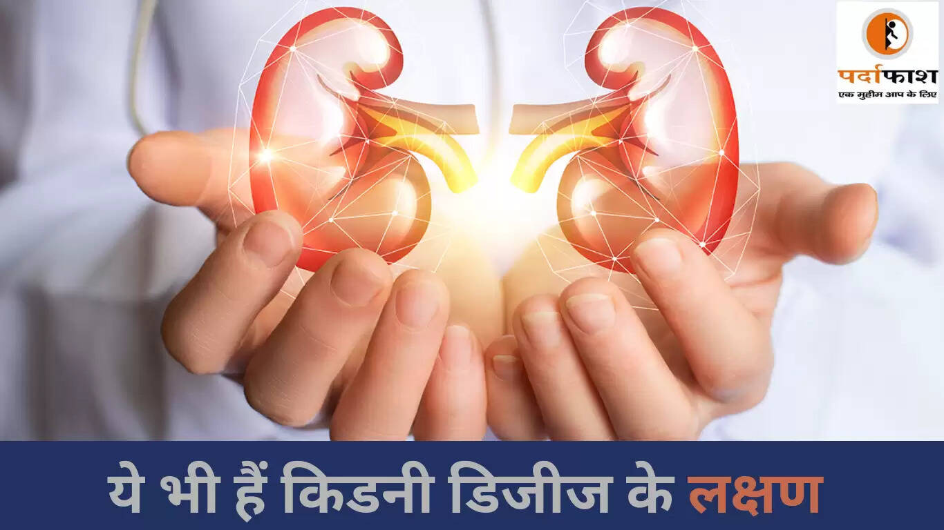 किडनी रोग के संकेत: शरीर के इन हिस्सों में दर्द हो सकता है