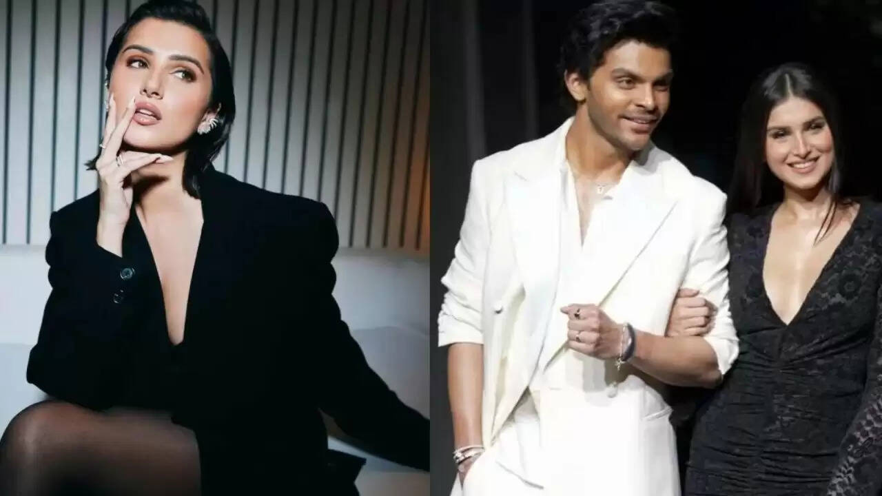 वीर पहाड़िया: तारा सुतारिया के नए प्रेमी की कहानी