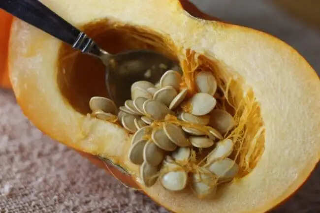कद्दू के बीज: स्वास्थ्य के लिए अद्भुत लाभ