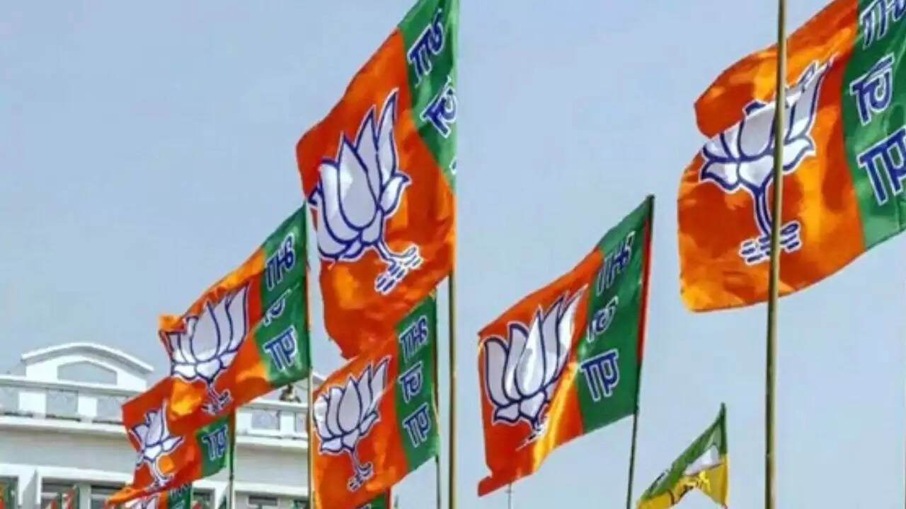 लुधियाना में भाजपा युवा मोर्चा के उप-प्रधान पर जानलेवा हमला