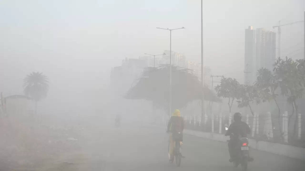 उत्तर भारत में ठंड का कहर: शीतलहर और कोहरे का असर, दक्षिण में बारिश की संभावना