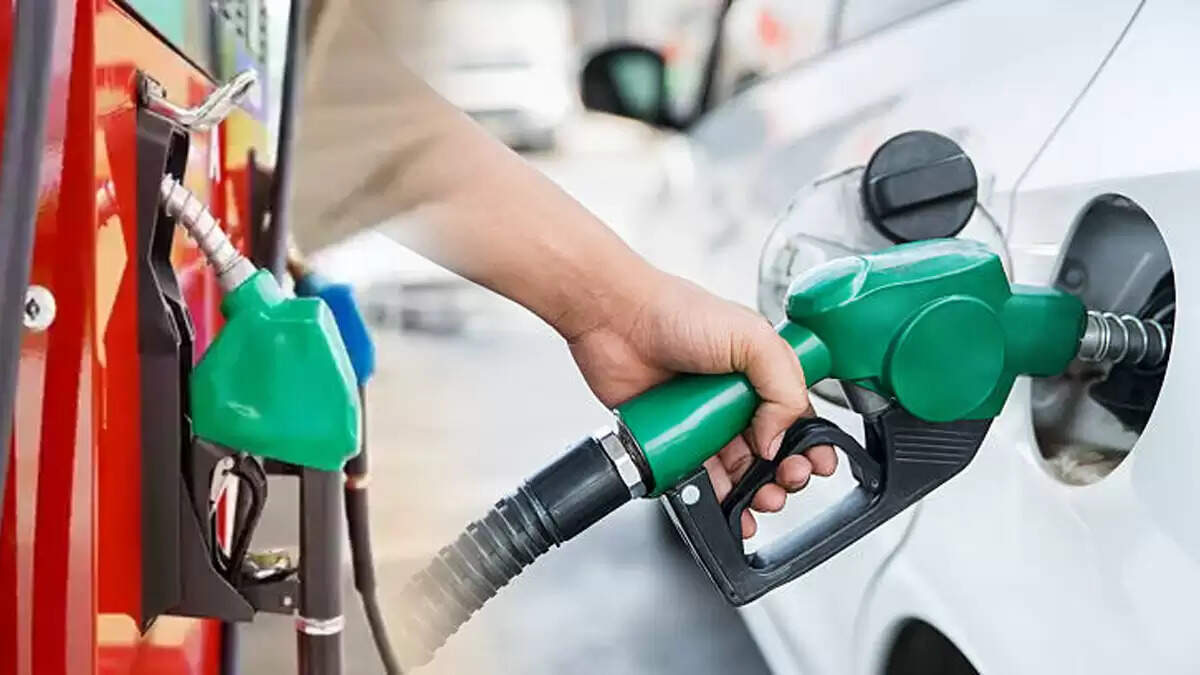 E20 पेट्रोल: मंत्रालय ने स्पष्ट किया, इंजन पर नहीं पड़ेगा कोई नकारात्मक प्रभाव