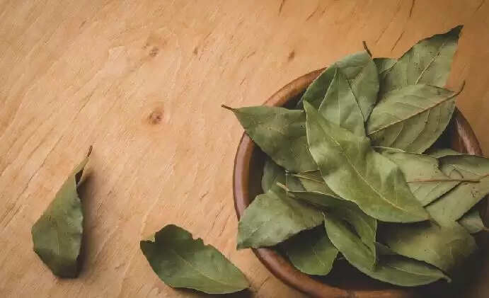 तेजपत्ता: स्वास्थ्य के लिए लाभकारी औषधि