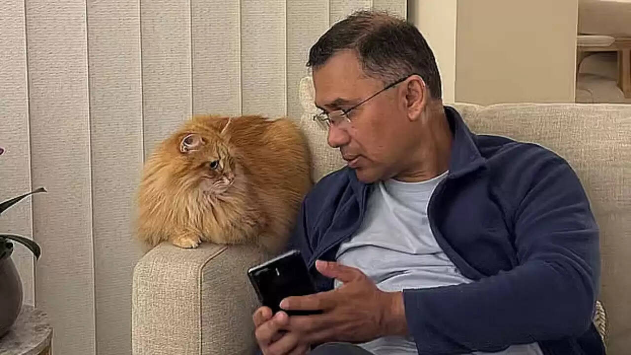 तारेक रहमान की वापसी: जेबू बनी सोशल मीडिया की नई सनसनी