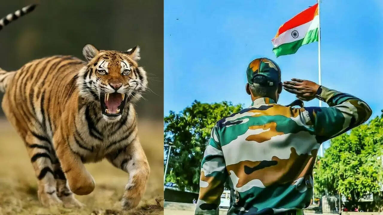 अग्निवीरों की तैनाती से बाघों की सुरक्षा में नया अध्याय