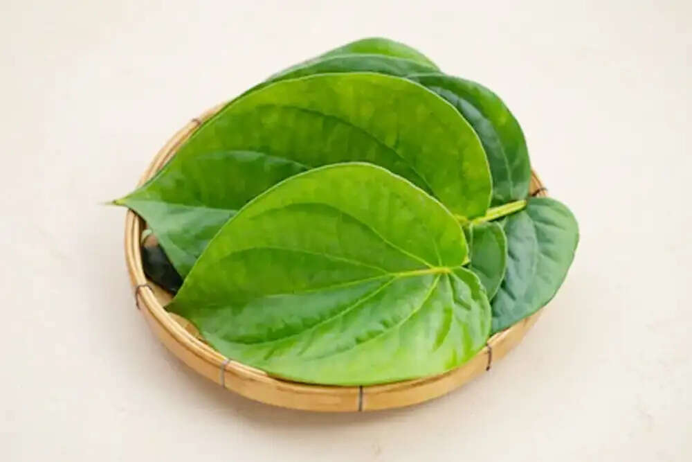 पान के पत्तों के स्वास्थ्य लाभ: जानें कैसे ये आपकी सेहत के लिए फायदेमंद हैं