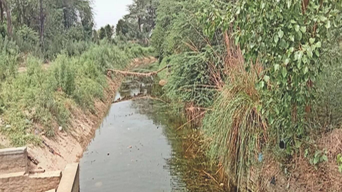 बधवाना माइनर: किसानों के लिए बनी मुसीबत, मरम्मत की मांग