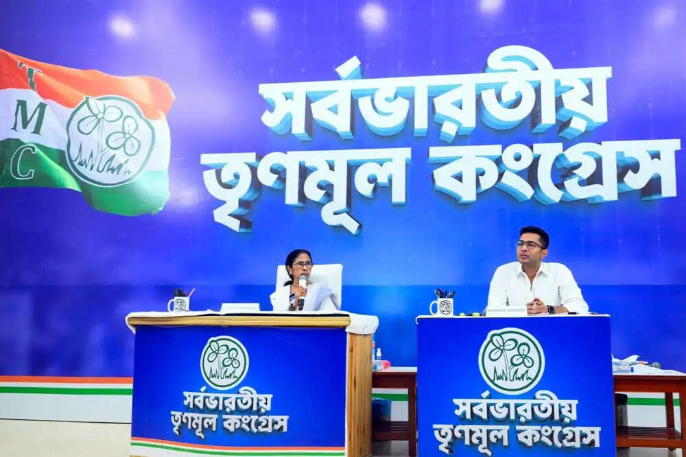 भारत में चुनावी नतीजों का असली कारण: विश्वास का क्षय