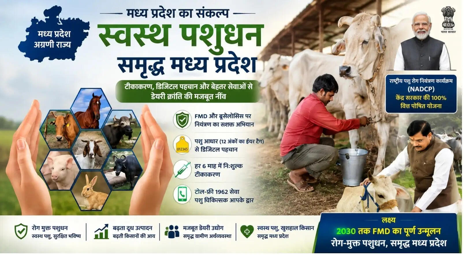 देश में पशुधन के लिए रोग मुक्त भविष्य, मध्य प्रदेश में बदलाव की बानगी