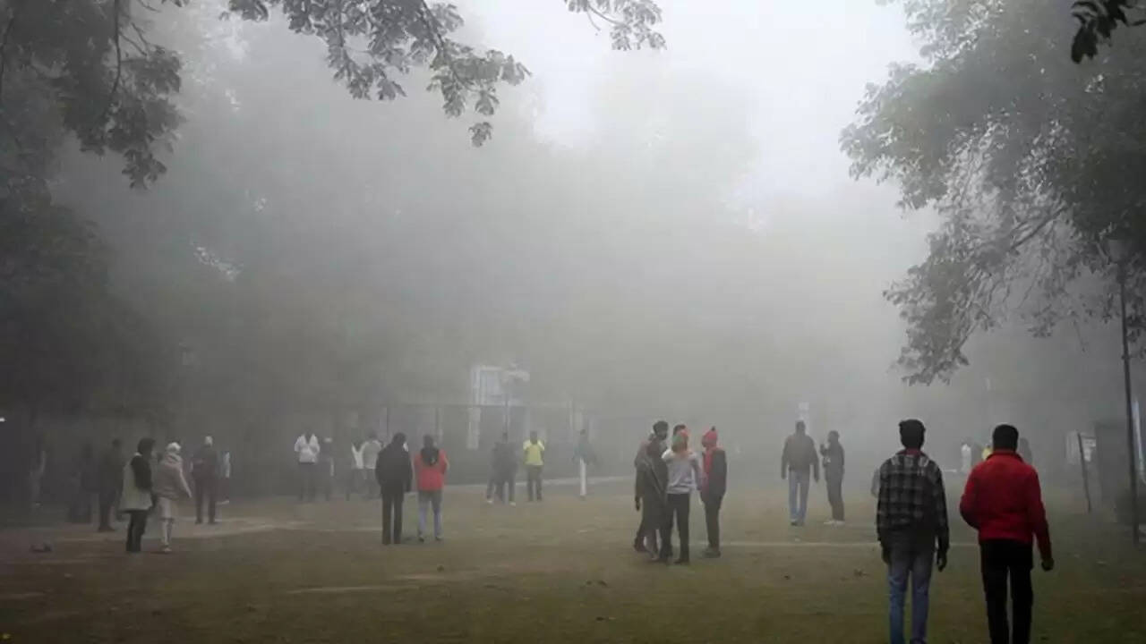 दिल्ली की वायु गुणवत्ता पर अंतरराष्ट्रीय चिंता, यात्रा सलाह जारी