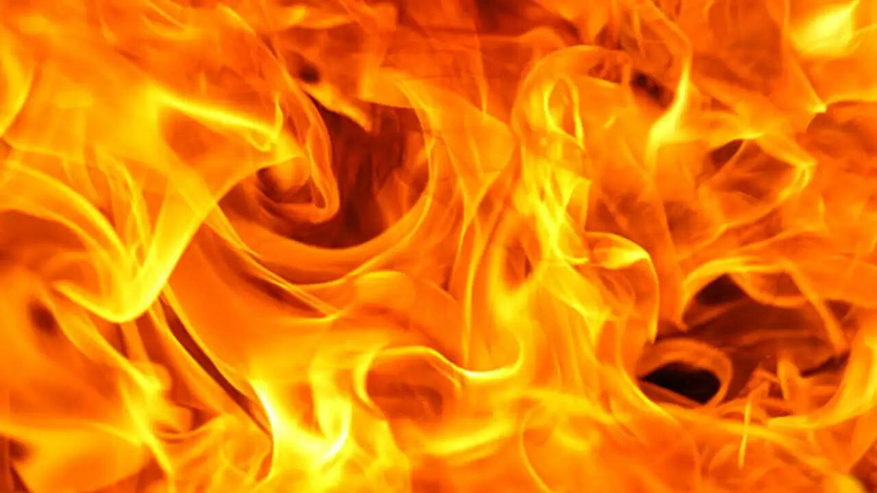 दिल्ली के पीतमपुरा में कबाड़ गोदाम में आग, दो की मौत