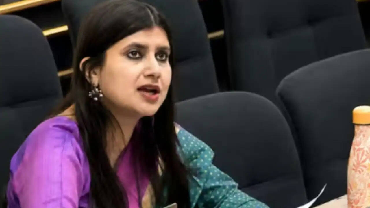 भारत ने पाकिस्तान को संयुक्त राष्ट्र में दिया करारा जवाब, आतंकवाद पर उठाए सवाल