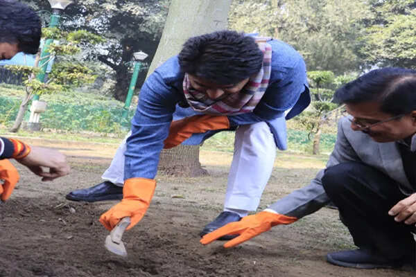 नई दिल्ली में ट्यूलिप बल्बों का रोपण अभियान शुरू